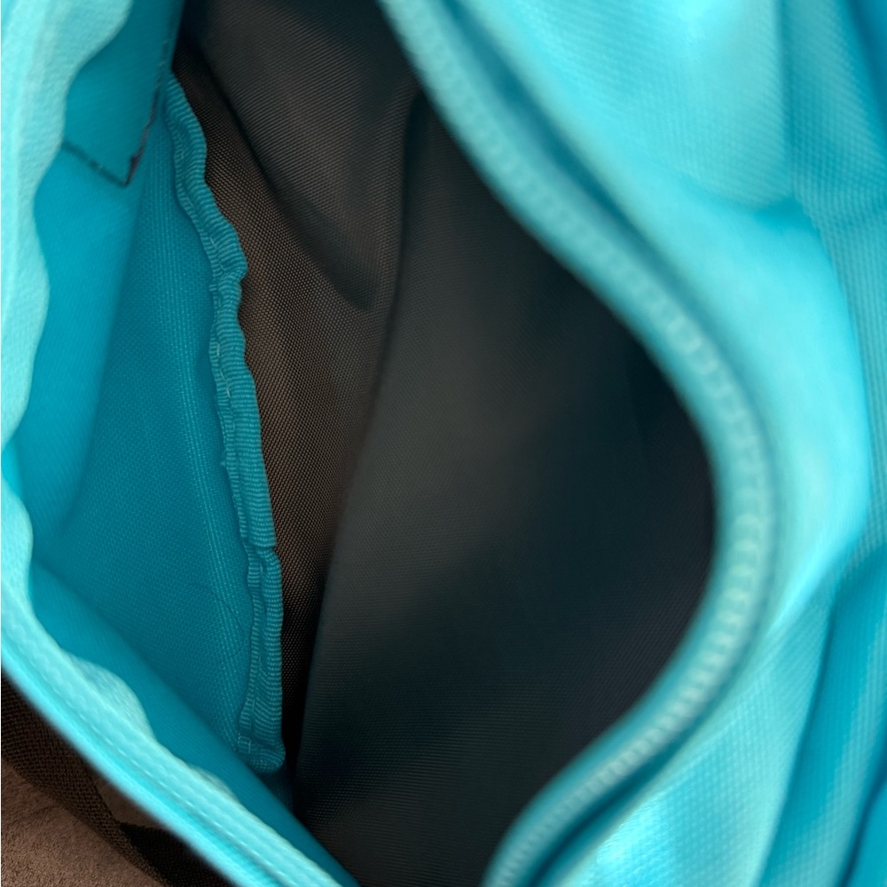JanSport Turquoise Belt Bag - Picture 3 of 3
